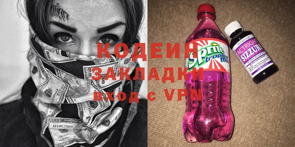 мет Алексин