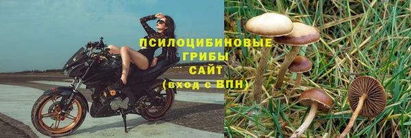 мет Алексин