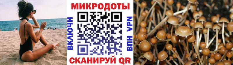 купить закладку  Пучеж  Галлюциногенные грибы ЛСД 